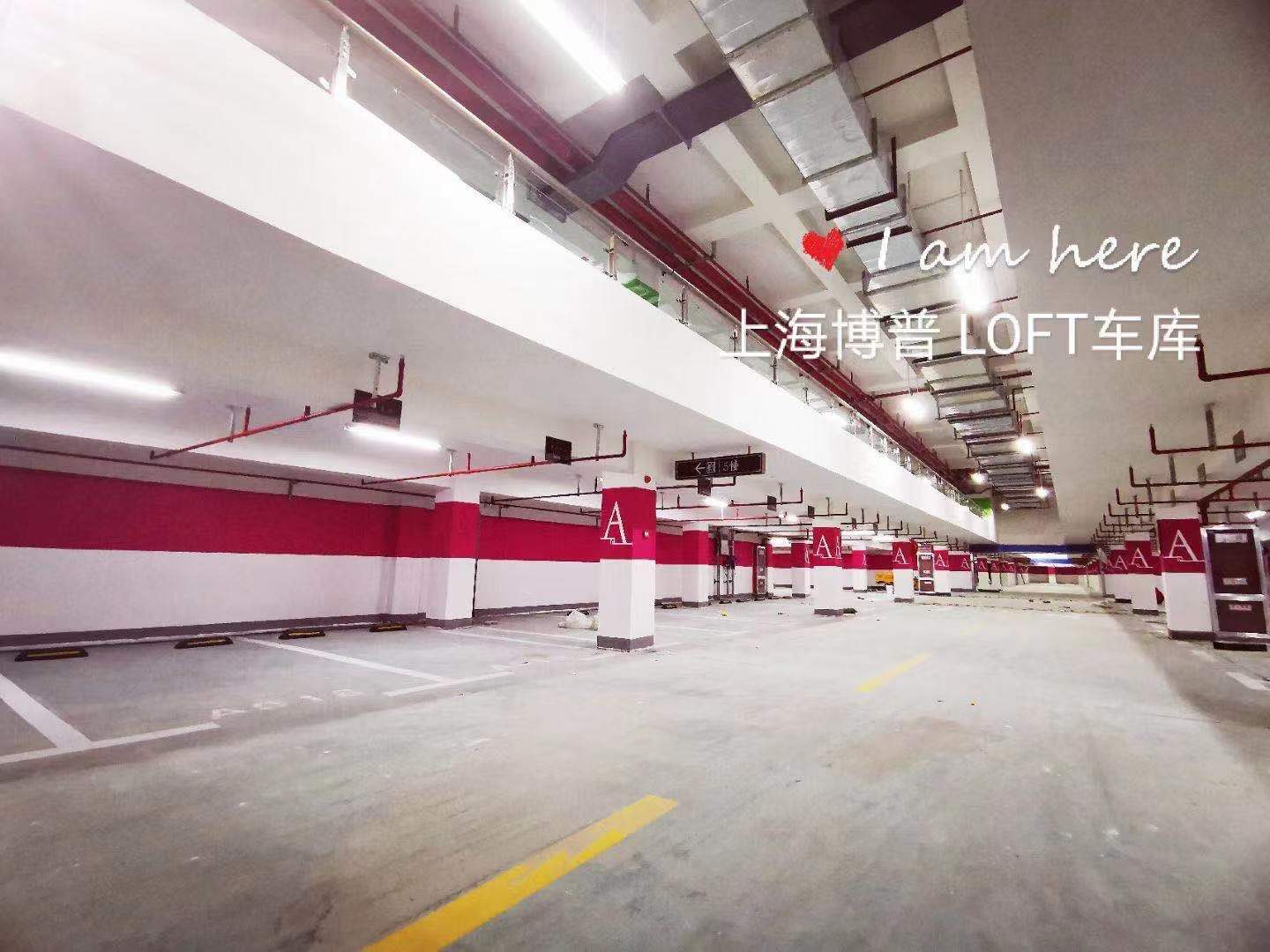 甘肃已交竣的绿城豪华LOFT专利车库效果惊艳！